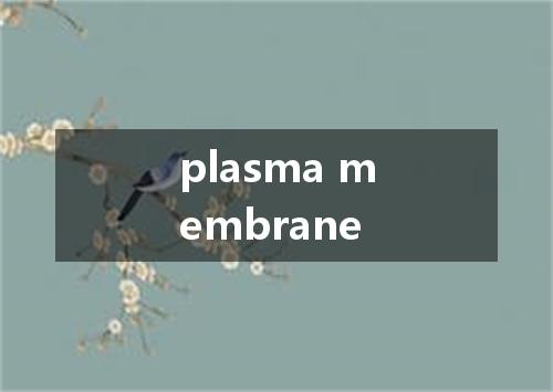 plasma membrane是什么意思