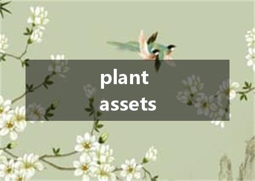 plant assets是什么意思