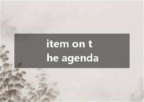 item on the agenda是什么意思