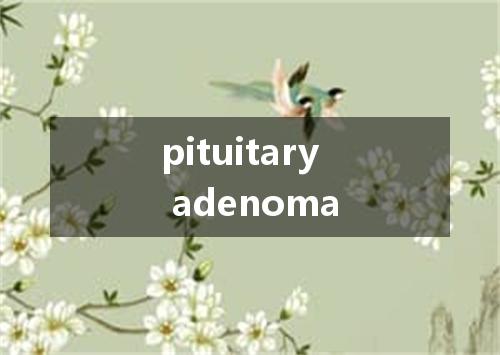 pituitary adenoma是什么意思