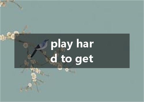 play hard to get是什么意思