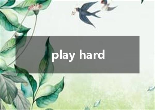 play hard是什么意思
