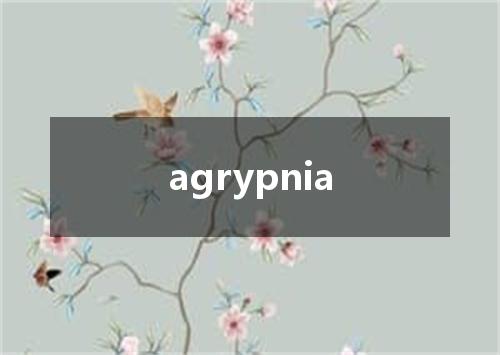 agrypnia是什么意思