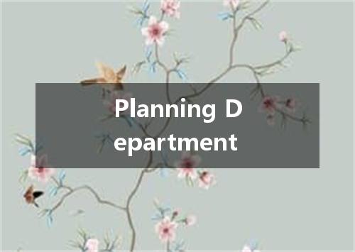 Planning Department是什么意思