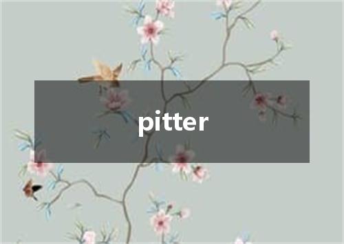pitter是什么意思