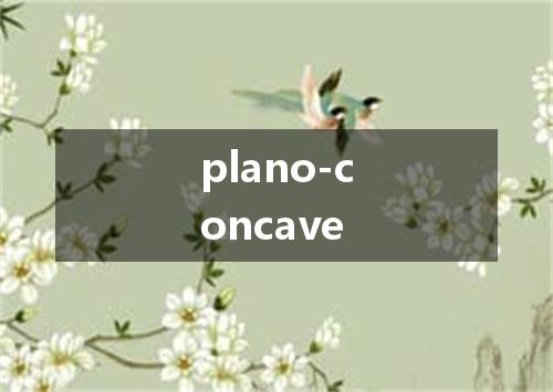 plano-concave是什么意思
