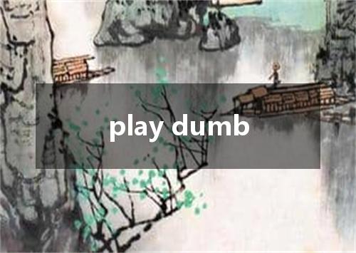 play dumb是什么意思