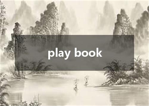 play book是什么意思