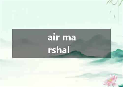 air marshal是什么意思