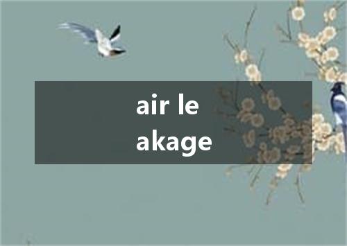 air leakage是什么意思