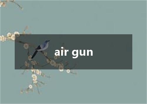 air gun是什么意思