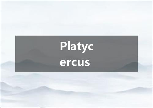 Platycercus是什么意思
