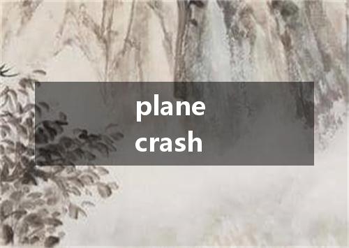 plane crash是什么意思