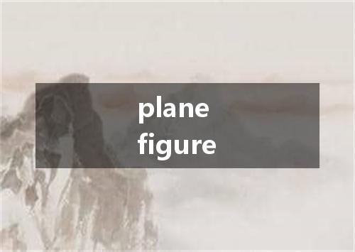plane figure是什么意思