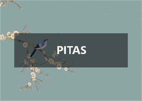 PITAS是什么意思