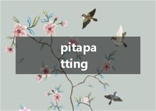 pitapatting是什么意思