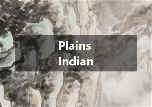 Plains Indian是什么意思