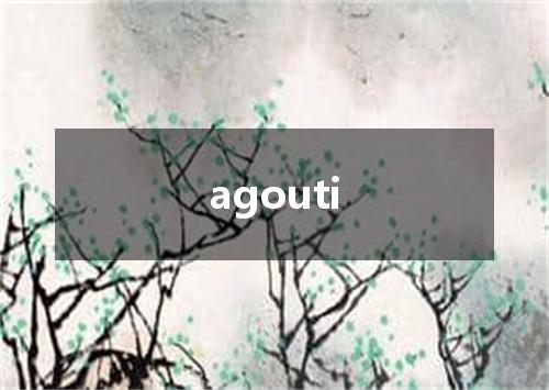 agouti是什么意思