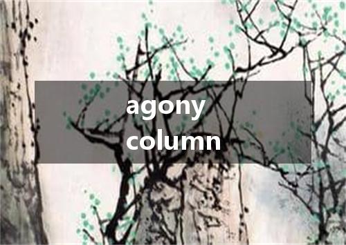 agony column是什么意思