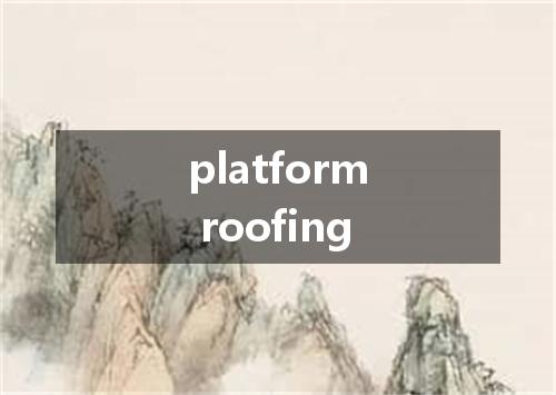 platform roofing是什么意思