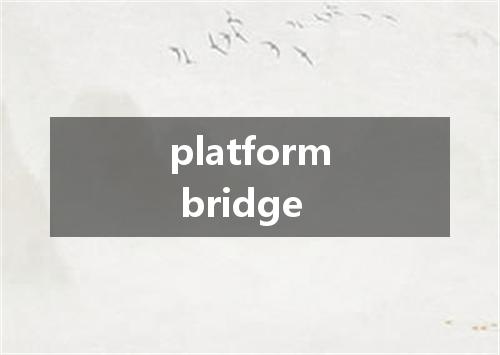 platform bridge是什么意思