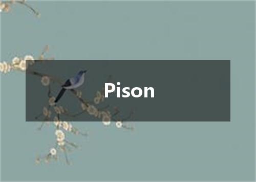 Pison是什么意思