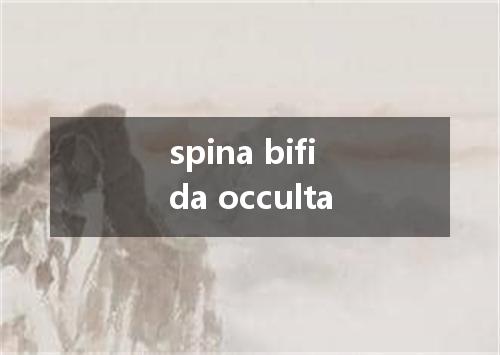 spina bifida occulta是什么意思