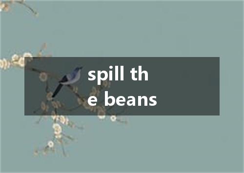 spill the beans是什么意思