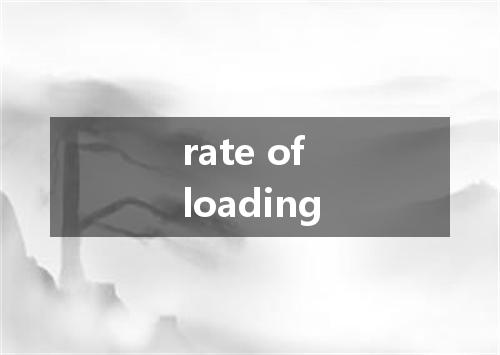 rate of loading是什么意思