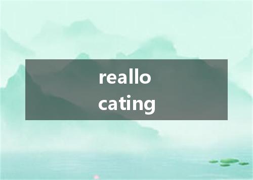 reallocating是什么意思