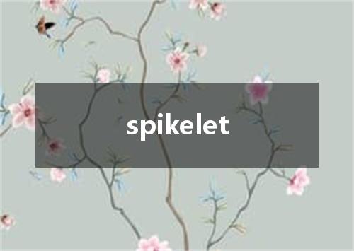 spikelet是什么意思