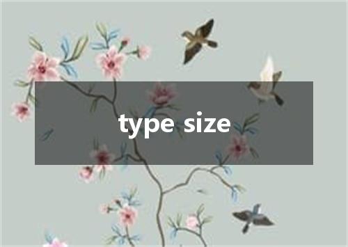 type size是什么意思