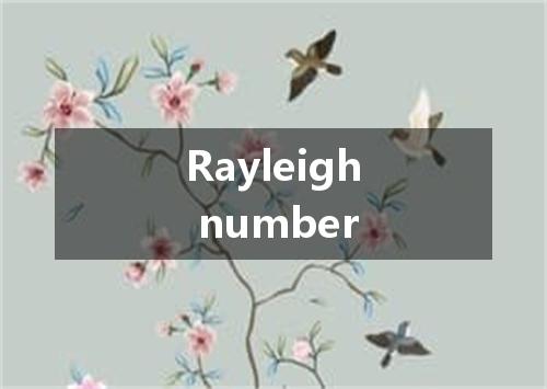 Rayleigh number是什么意思