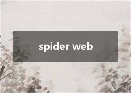 spider web是什么意思
