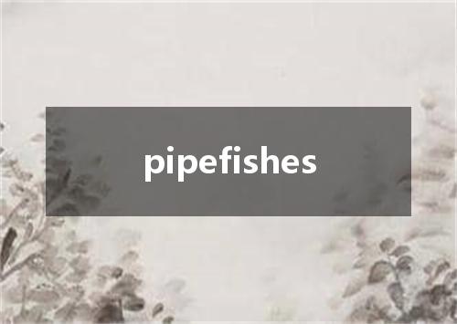 pipefishes是什么意思