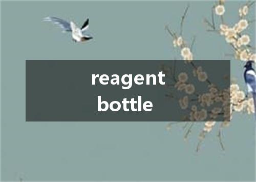 reagent bottle是什么意思