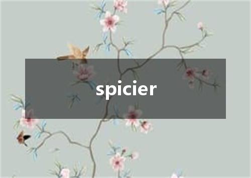 spicier是什么意思