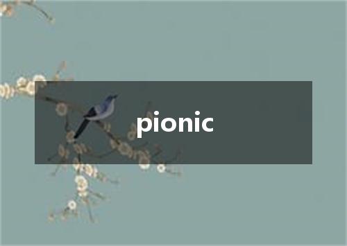 pionic是什么意思