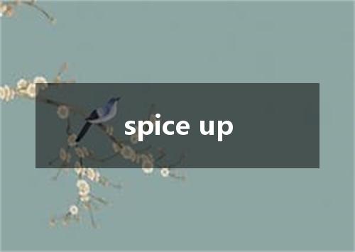 spice up是什么意思