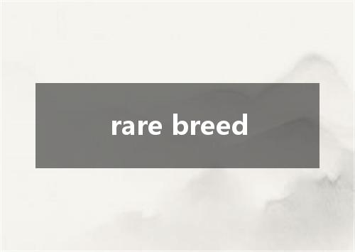 rare breed是什么意思