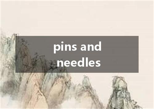 pins and needles是什么意思