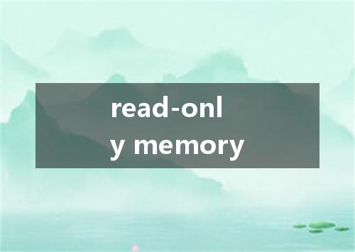 read-only memory是什么意思