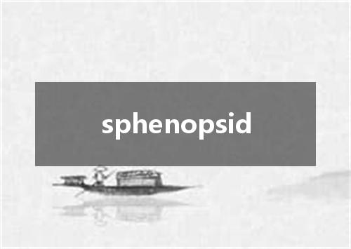 sphenopsid是什么意思