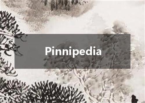Pinnipedia是什么意思