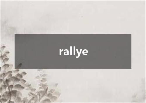 rallye是什么意思