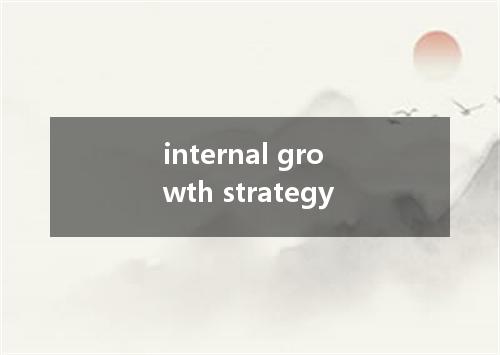 internal growth strategy是什么意思