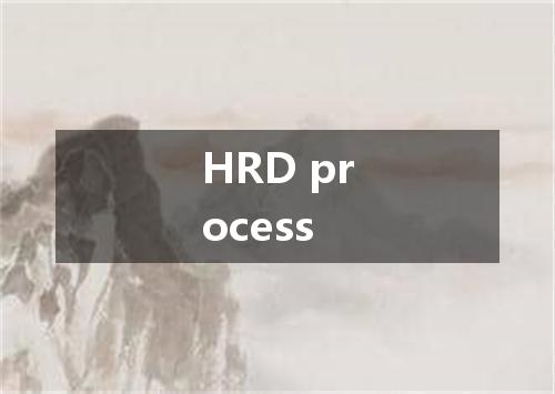 HRD process是什么意思