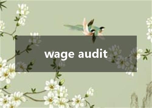 wage audit是什么意思