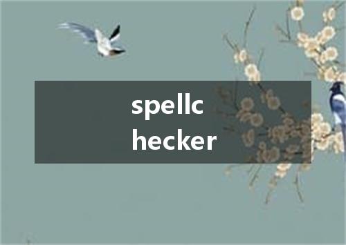 spellchecker是什么意思
