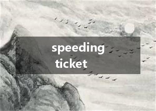 speeding ticket是什么意思